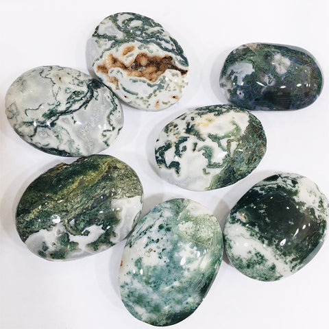 Moss Agate Palm Natural Stone