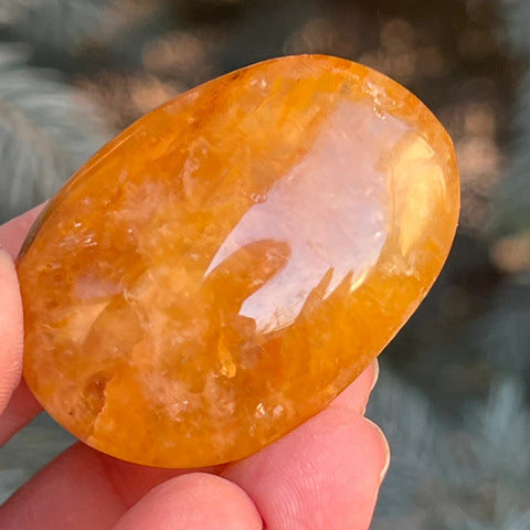 Golden Healer Palm Stone