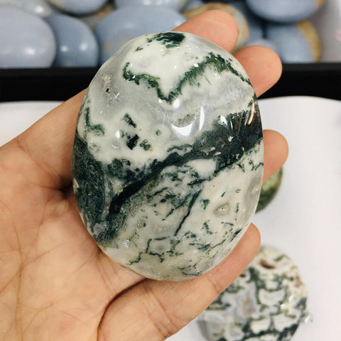 Moss Agate Palm Natural Stone