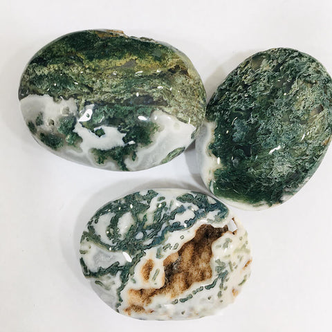 Moss Agate Palm Natural Stone